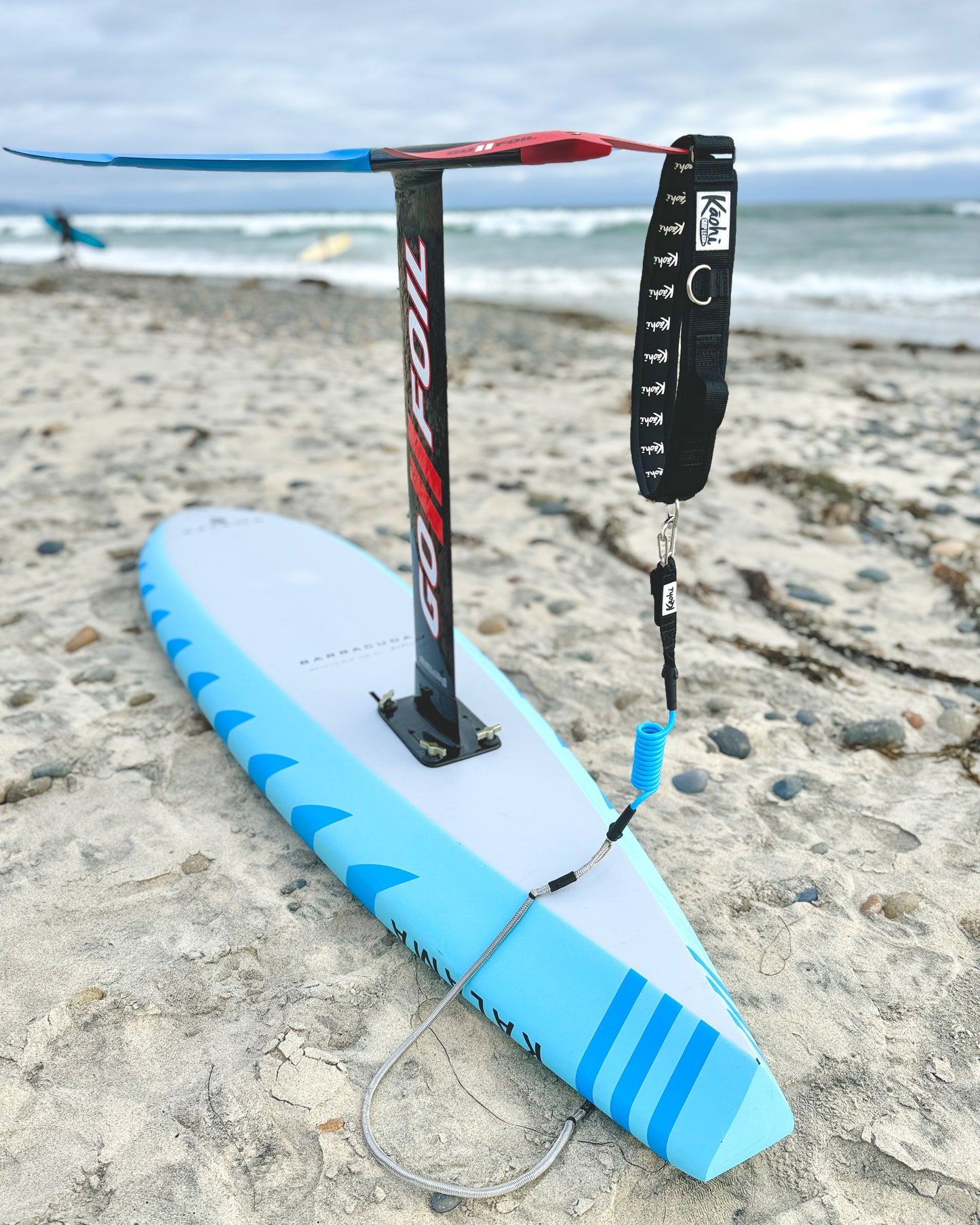 Kāohi Inviz Leash